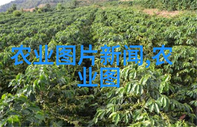 茶的资料从古到今泡出笑话来