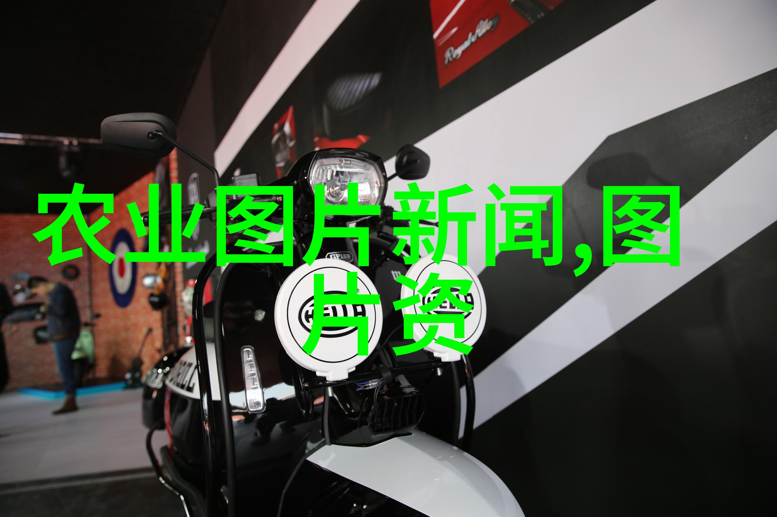 蜂蜜之恋探索土蜜蜂养殖与管理的智慧路径