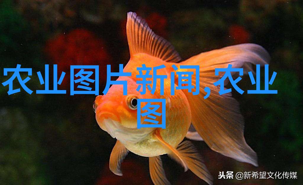 简单水果园的诱人魅力