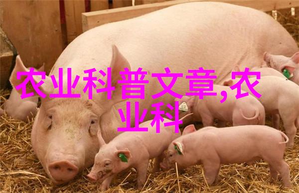 科学养牛技术大全现代畜牧学知识与实践操作