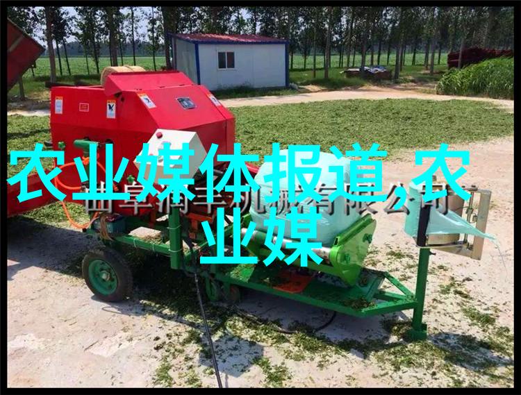 东北大学的百年光辉与未来的启示