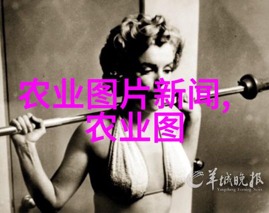 物流管理系统在现代供应链中的重要性与应用