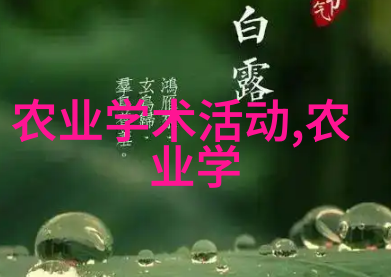 蜜蜂驯养秘籍如何让它们不再飞走