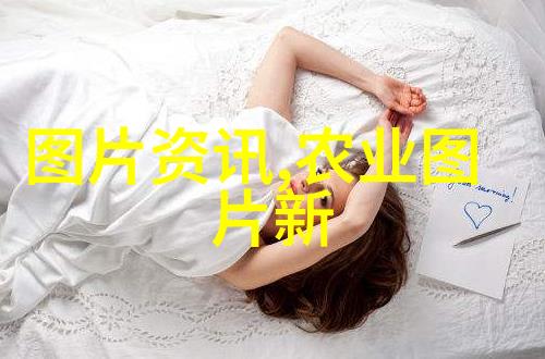 无土栽培项目规划与资金分配策略研究