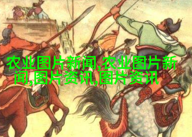 生态友好型设计