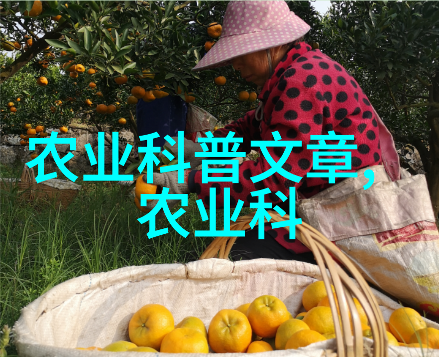 正邦科技未来之光的织梦者