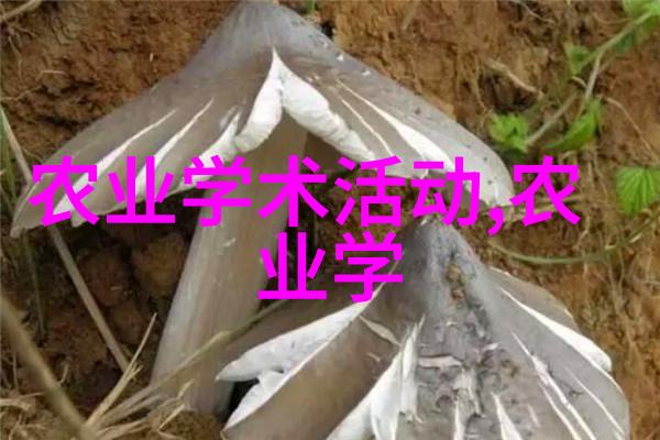 多功能农用耕地拖拉机的空气滤清器畅通大气之路确保农田的繁荣