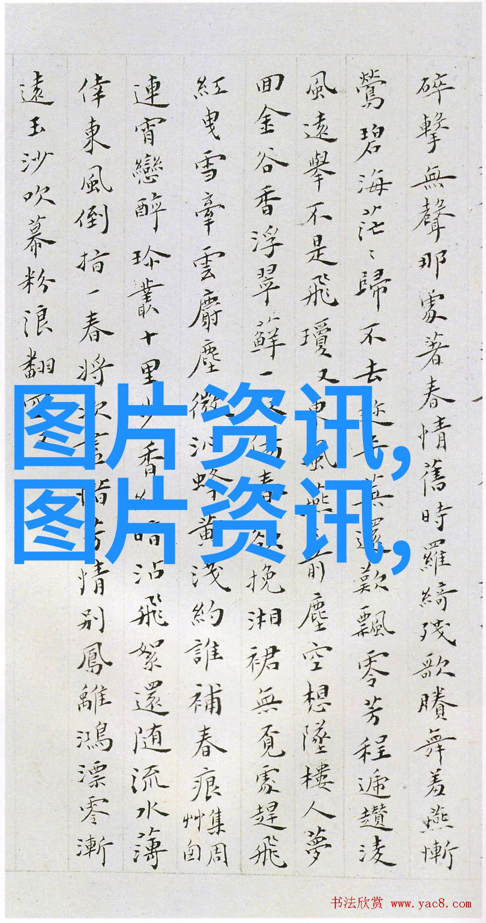 花卉市场批发我在花海的怀抱里找到自己的小确幸