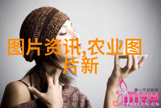 羊群守护政府养羊补贴政策解读