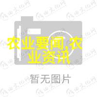 这里的水稻秸秆 为何能漂洋过海卖出高价