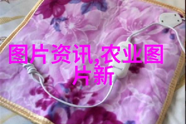 最新水果资讯品种更新营养解析与市场趋势