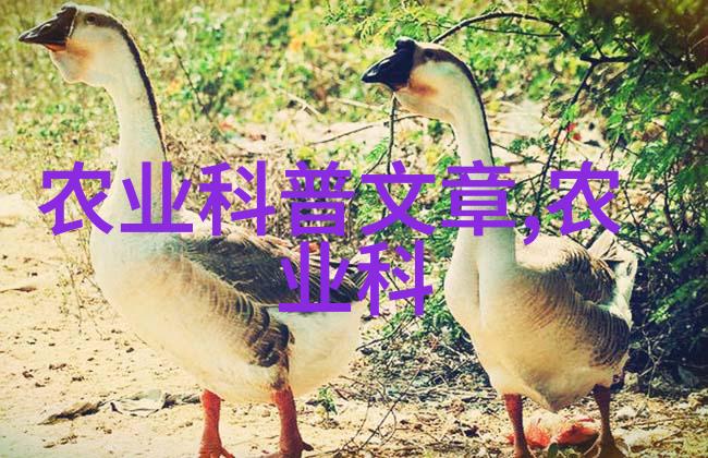 虾类高效养殖技术水产养殖优化方法