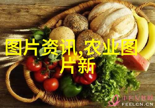皮带轮-转速调节与磨损预防的关键要素