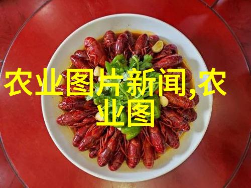园艺知识-精准引导18公分天竺桂价格全解析
