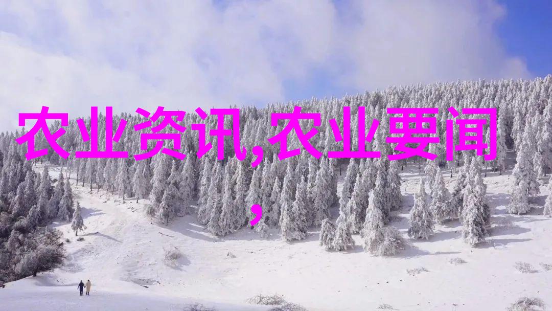 缅甸风暴火焰与和平的交响曲