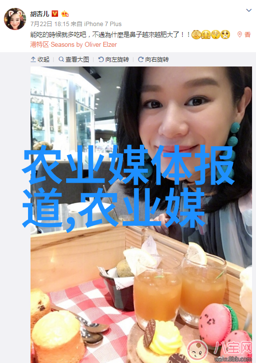 秘密花园一幅未解之谜的盆栽花卉画像