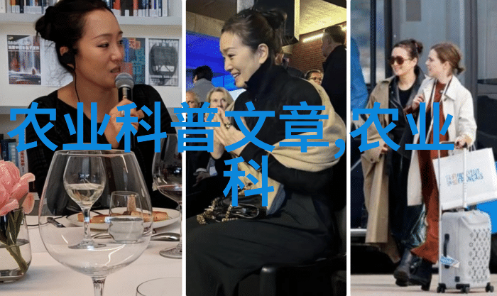 农业科普-揭秘玉米种子的奇妙世界从培育到丰收