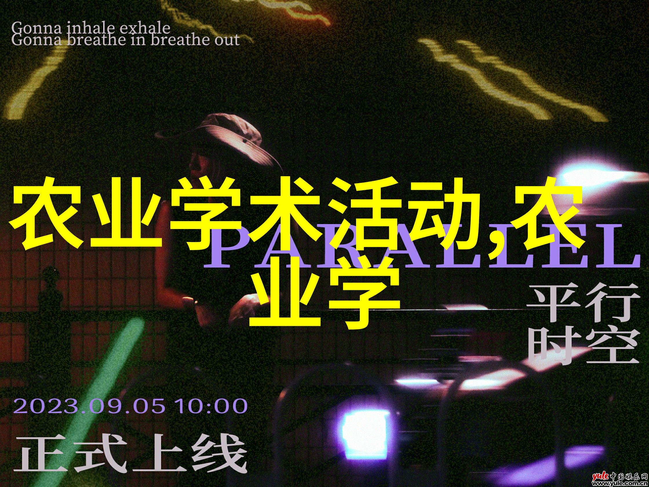 超越极限探索爱情中的付出与接受