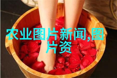 农民技能提升丰富多彩的农业培训课程