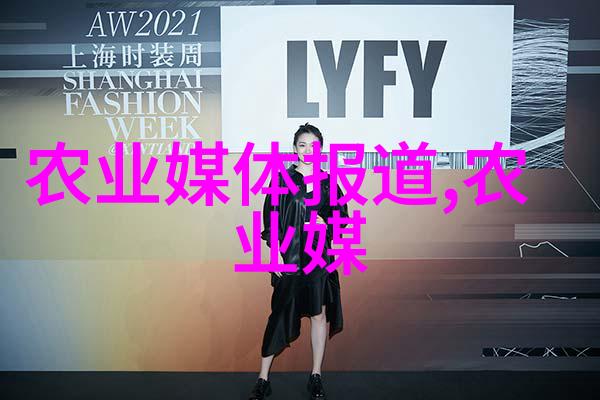 有哪些常见的盆栽植物适合家庭新手且能够带来好运