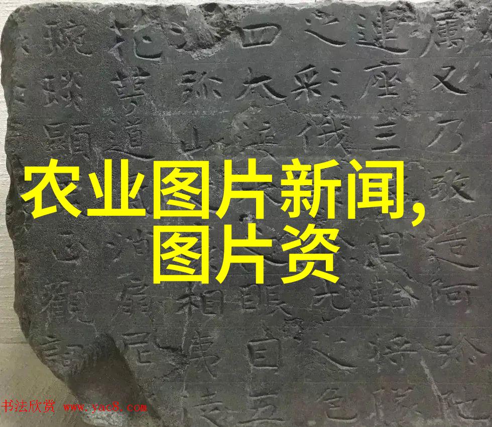 陕西杨凌中国苗木之都的繁荣故事