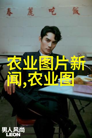 绿意盎然的室内园艺探究十种旺家的选择与养护策略