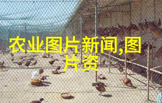 海南热带水果种植如香蕉橙子芒果高收益策略