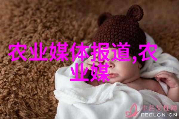 家中养什么花好养又聚财解析五大经济植物