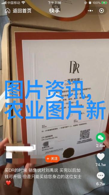 养鹅1000只利润和成本大规模水禽养殖经济效益分析