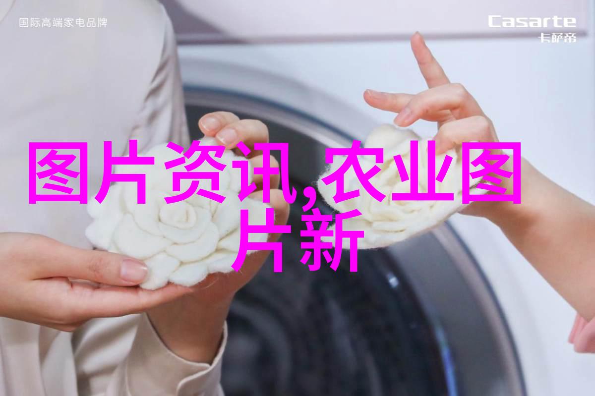 羊毛赚钱计100只羊一年能挣取多少金钱