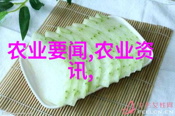 培养未来领袖中央民族大学的人才培养模式