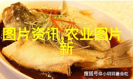 养蜜蜂小窍门如何高效管理蜂箱和提高蜜蜂的产量