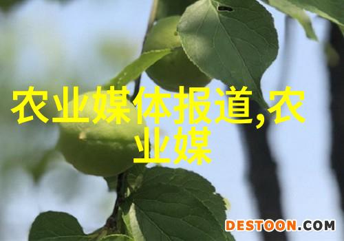 茶香四溢探索世界上最受欢迎的茶叶种类