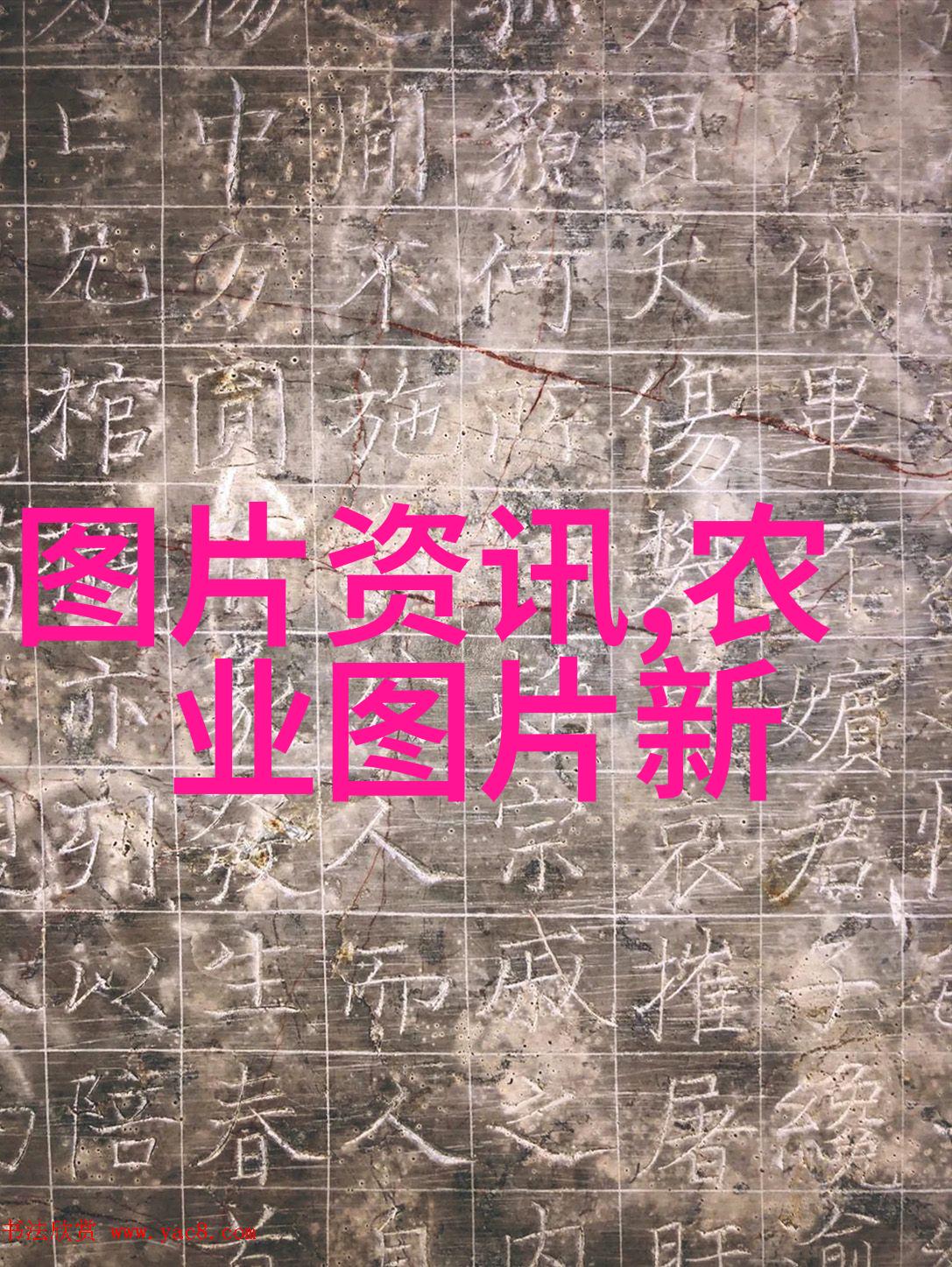 如何让蚂蚱养殖技术跳出传统实现高效可持续