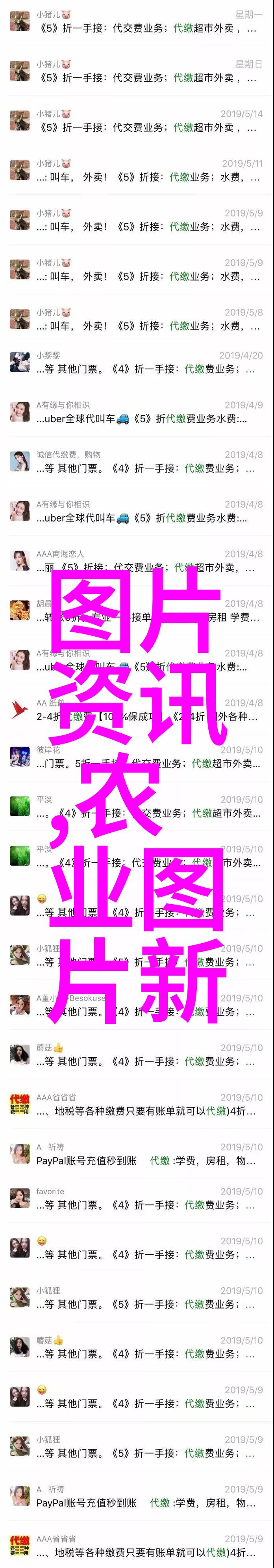 深度挖掘白菜根的秘密解锁其在中医药中的独特价值