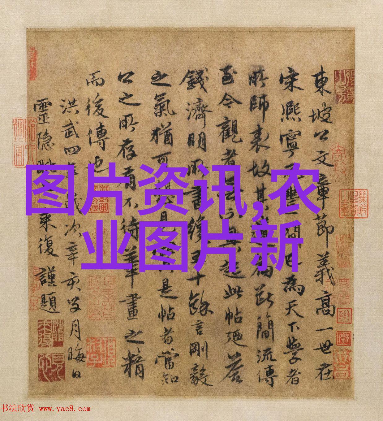 林麝养殖全程指南5只林麝的起步投资与收益分析