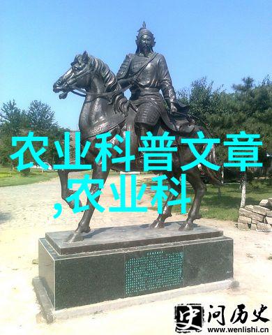 疙瘩头我的不规则之旅