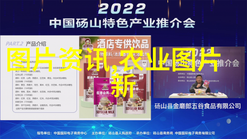 打造梦想空间设计你的理想个人图书馆
