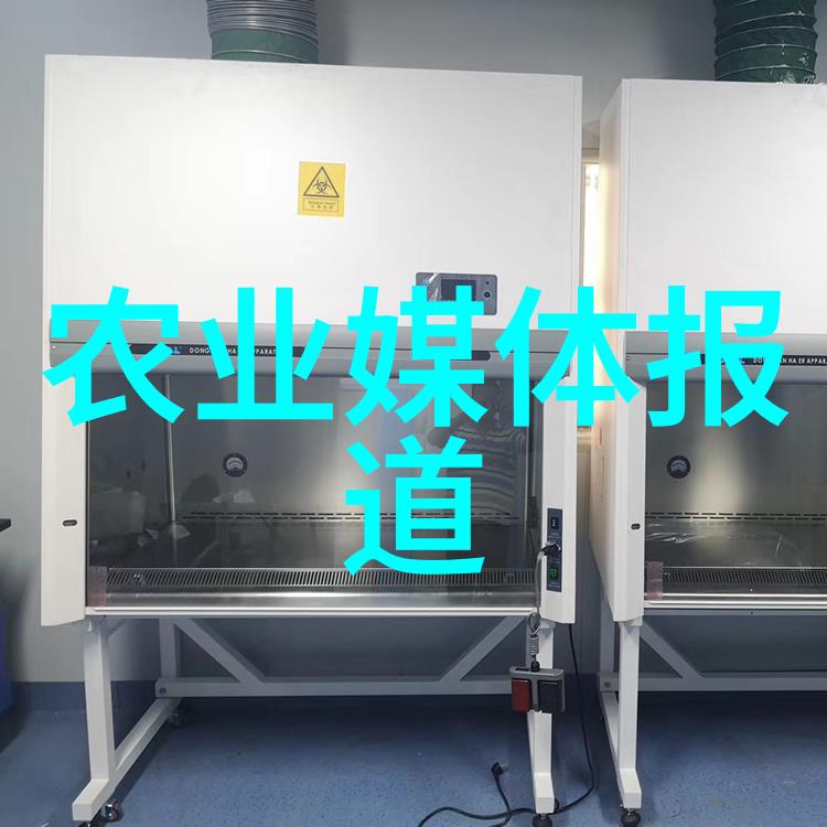 紫花苜蓿野草中的美丽与力量
