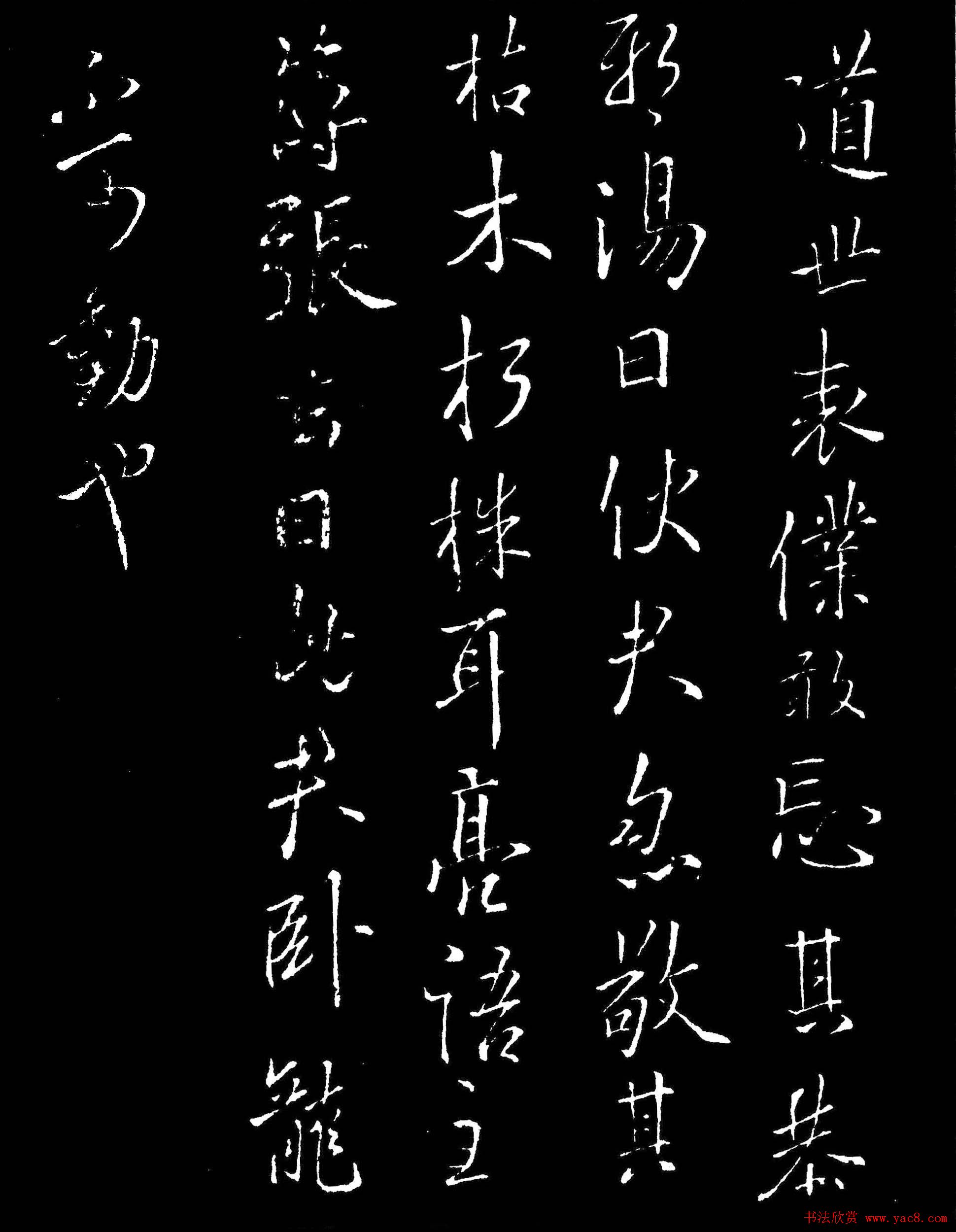 2023年养殖行业的高收益项目有哪些