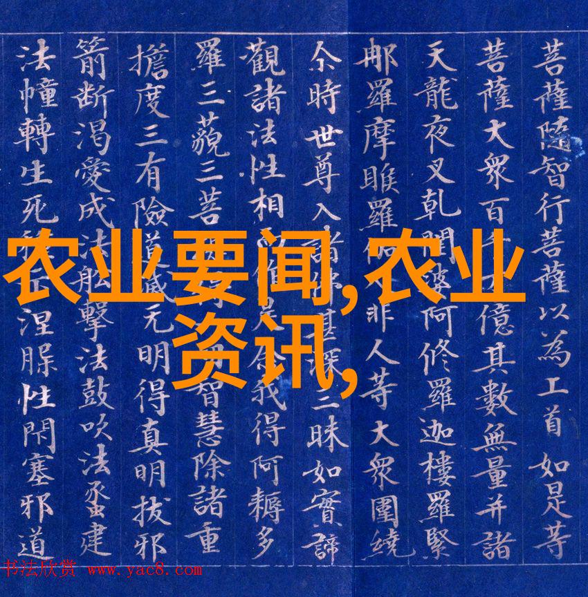 红尘一沙雕穿越时空的孤独旅者