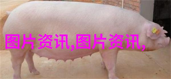 热门养殖业金钱豹与翠绿之冠的双重收获