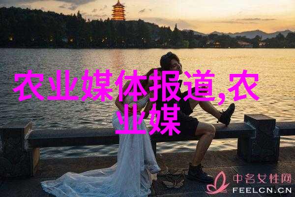 经验丰富的牧场主是如何判断羊是否已经准备好配种的