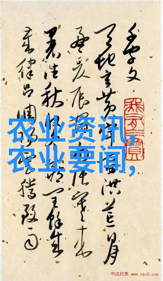 10公分金丝楠苗木价格精选优质树种绿化美地的不二选择