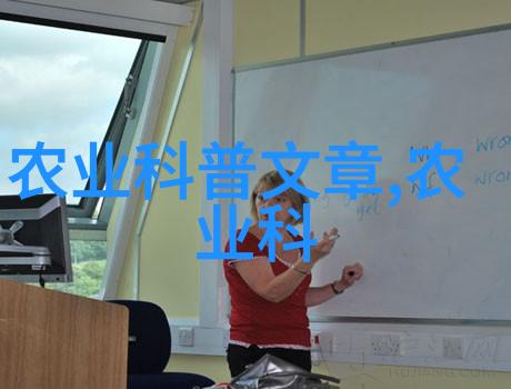 身份号019穿越数字的秘密门扉