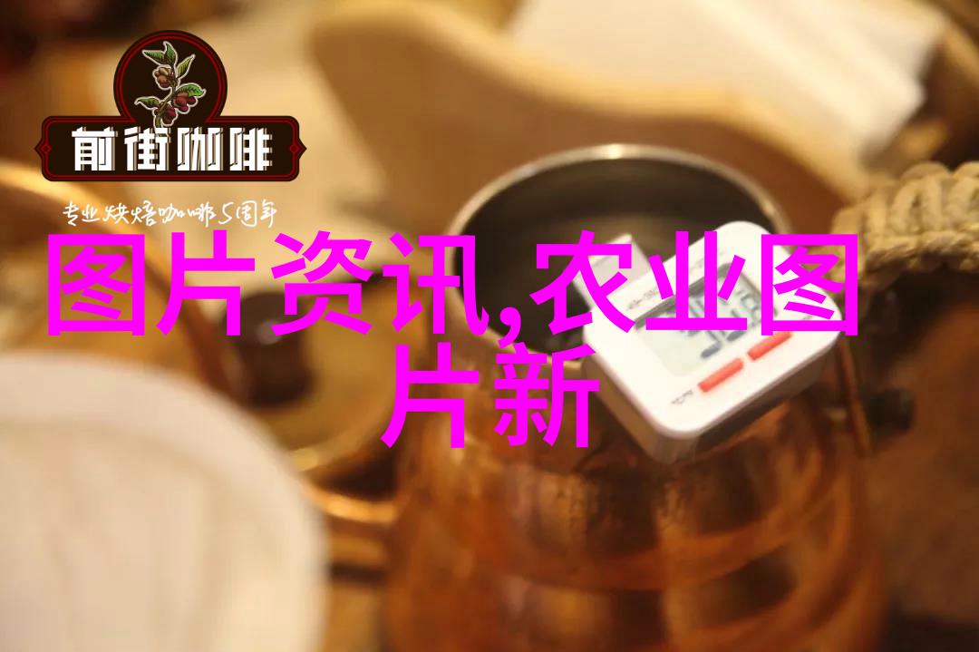 竹鼠养殖全攻略从筹备到管理的每个细节