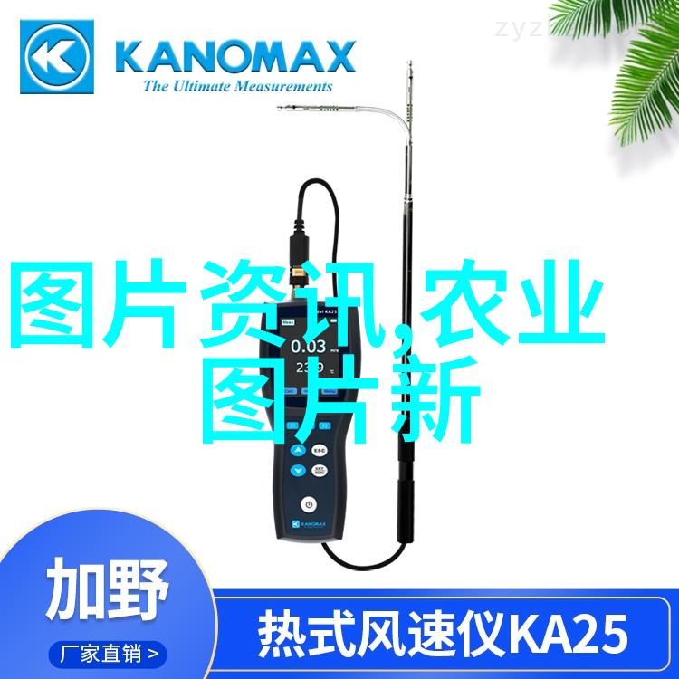 金钱果园探秘农村最赚钱的作物种植策略