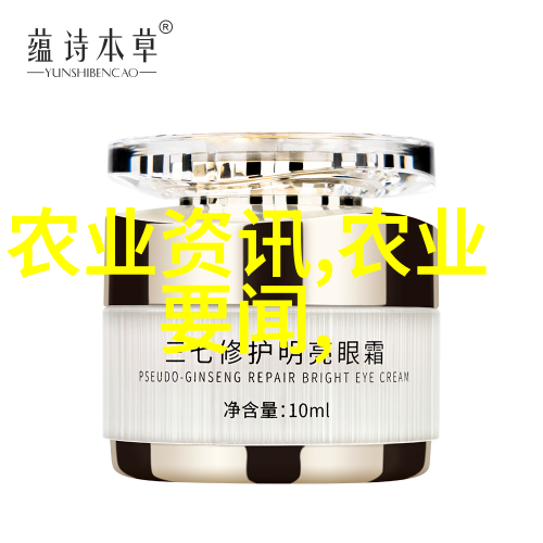 红果冬青树种子与苗木哪个更受欢迎且更贵