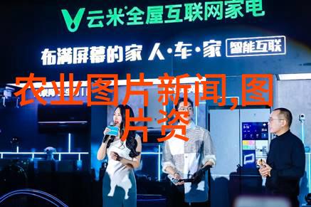 温柔的选择适合女性茶时的雅致品种