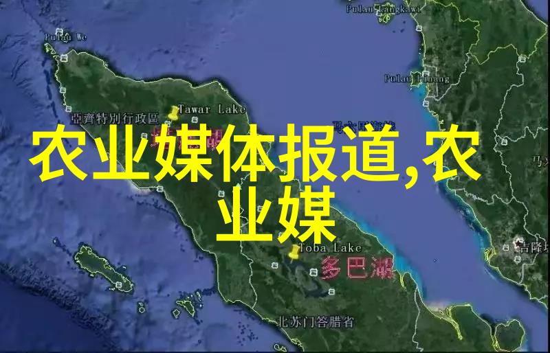 蚀骨沉沦探索末日世界的生存与崩溃